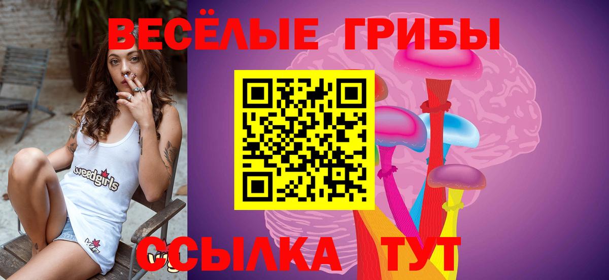 Канаш  Галлюциногенные грибы мицелий  Галлюциногенные грибы Psilocybine cubensis  Вход с VPN 