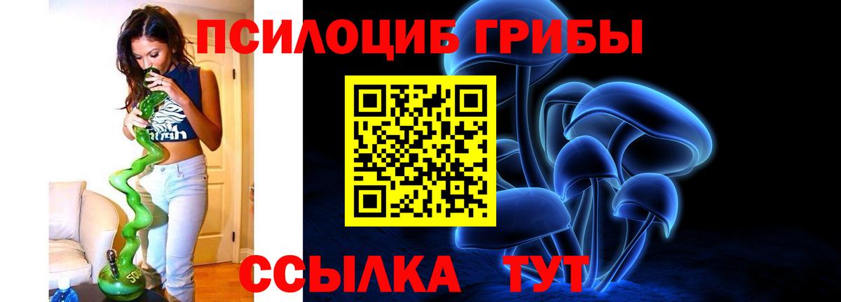 Псилоцибиновые грибы Cubensis Канаш